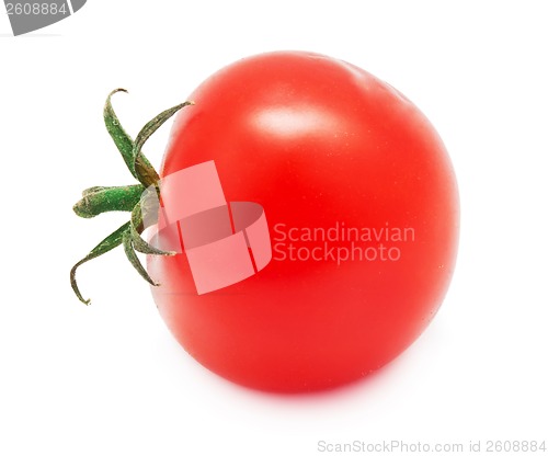 Image of Tomato