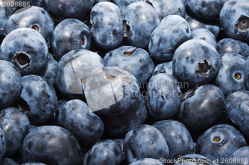 Image of Blueberries
