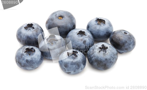 Image of Blueberry