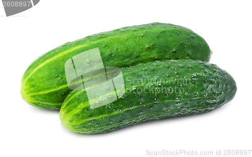 Image of Fresh cucumber