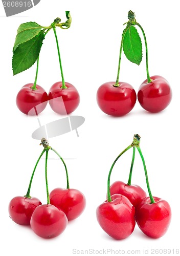 Image of Cherry