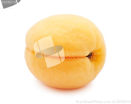 Image of Apricot