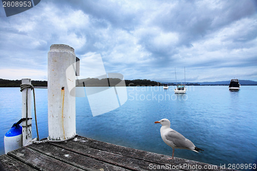 Image of Kincumber Jetty