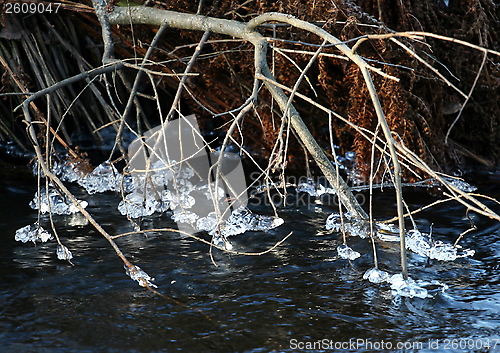 Image of The winter river