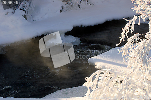 Image of The winter river