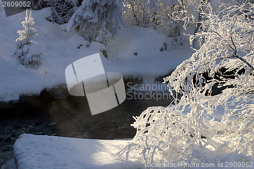 Image of The winter river