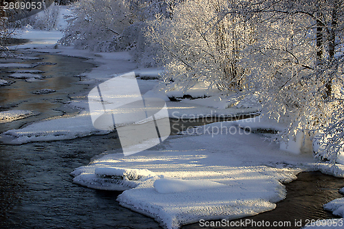 Image of The winter river