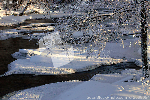 Image of The winter river