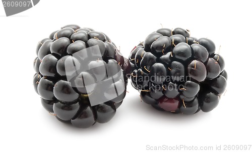 Image of Blackberry