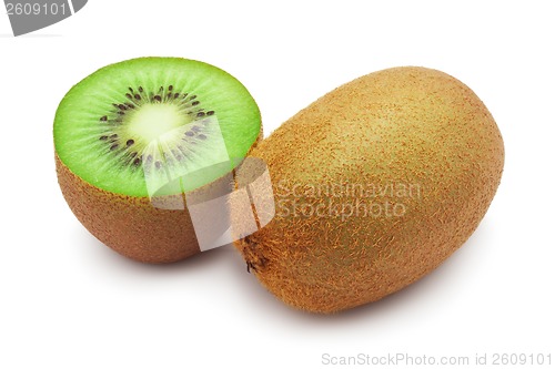 Image of Kiwi