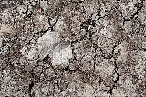 Image of Dry land