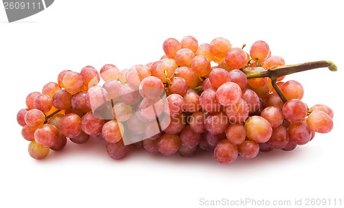 Image of Grapes