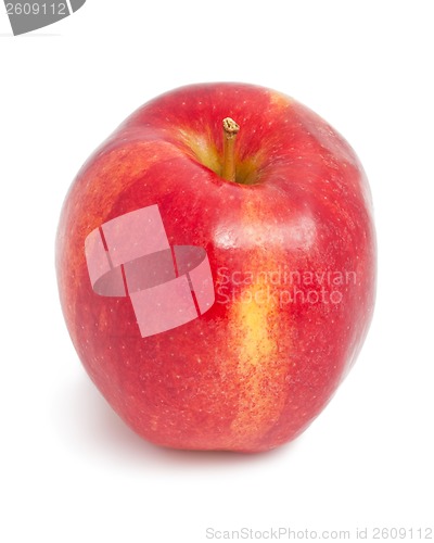 Image of Apple