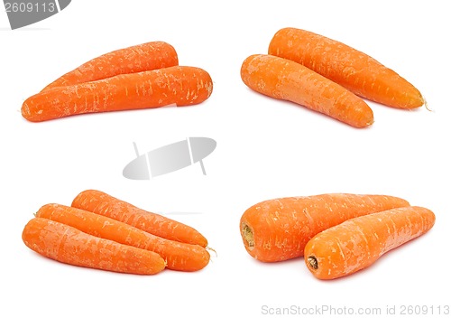 Image of Carrot