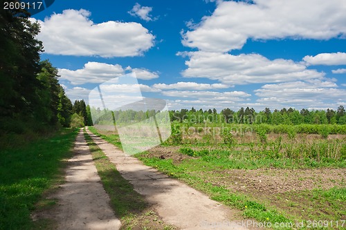Image of Summer landscape