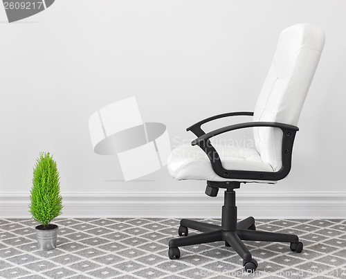 Image of Computer chair and green plant