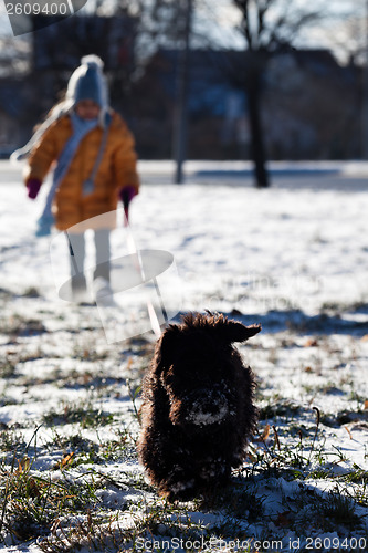 Image of Dog for a walk