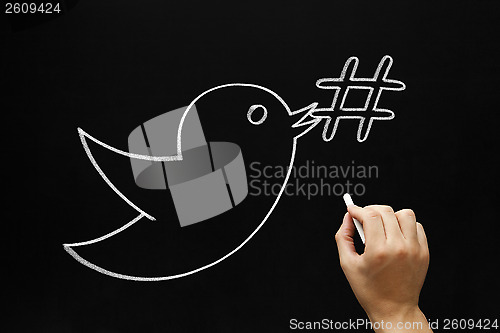 Image of Bird Hashtag Concept