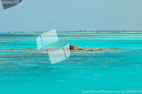 Image of Coral Reef