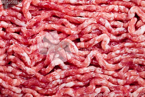 Image of fresh raw minced meat 