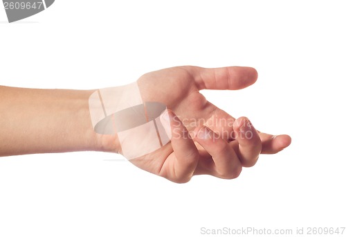 Image of Human palm