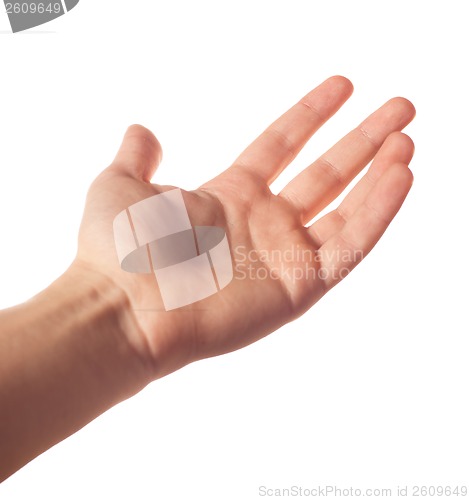 Image of Human palm on white background
