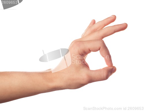Image of Gesturing human hand on white background