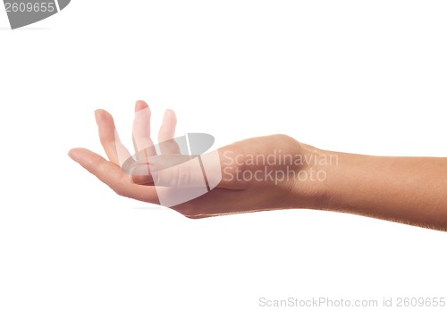 Image of Asking human hand on white background