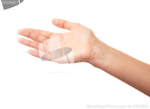 Image of Human palm on white background