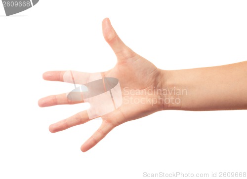 Image of Human hand five fingers