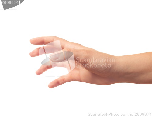 Image of Taking something human hand on white background