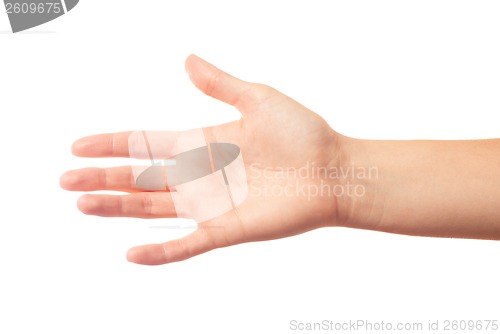 Image of Outstretched human hand on white background