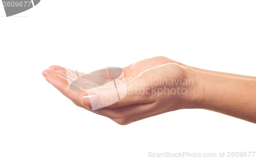 Image of Begging human hand on white background