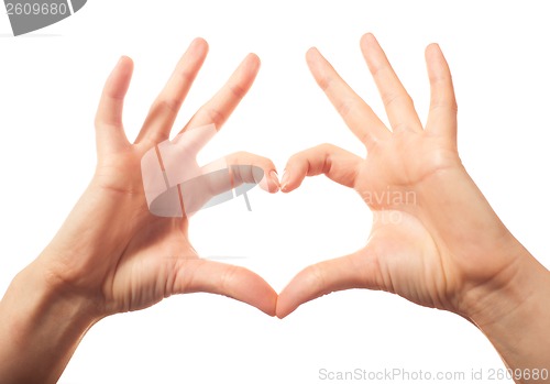 Image of Two human love hands