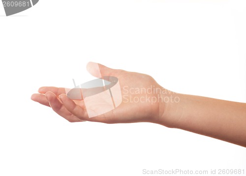 Image of Asking human hand