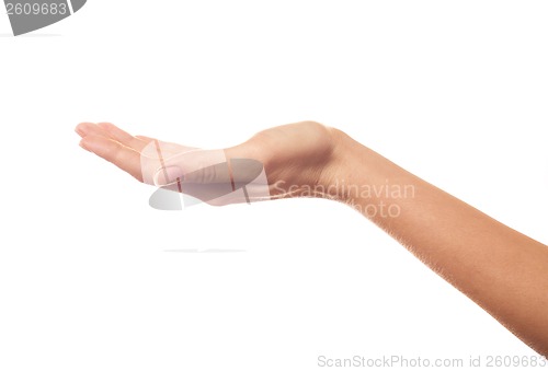 Image of Asking hand isolated