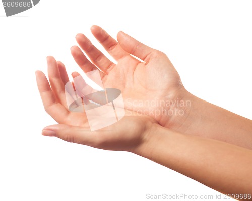 Image of Two begging hands on white background