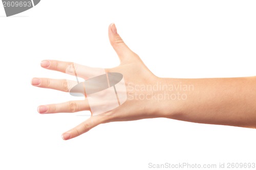Image of Five fingers on white background