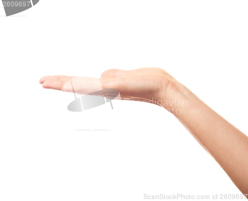 Image of One hand on white background isolated
