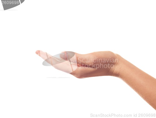 Image of Asking human hand on white background