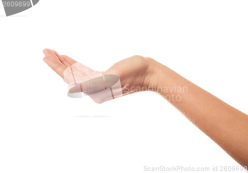 Image of Asking human hand isolated