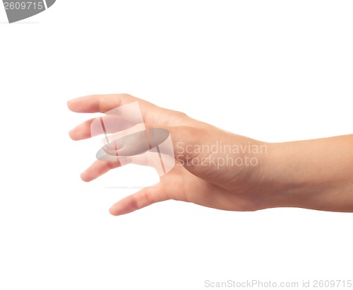 Image of Taking something human hand isolated