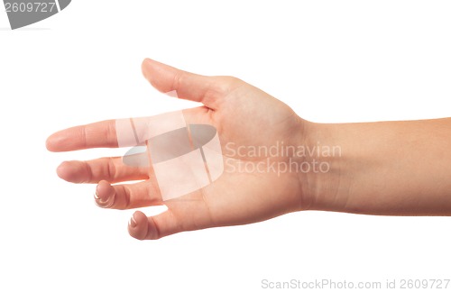 Image of Outstretched human hand