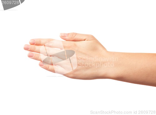 Image of Human hand with five fingers