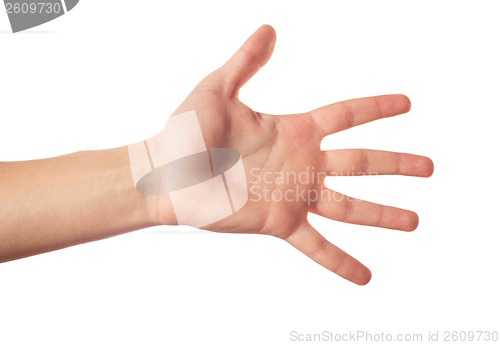 Image of Five fingers isolated