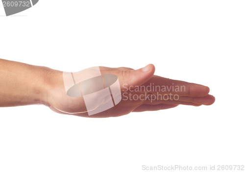 Image of Human hand with palm down on white background