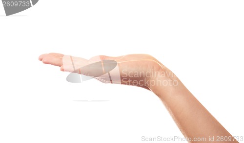 Image of White background human's hand