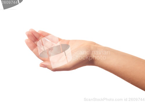 Image of Begging human hand