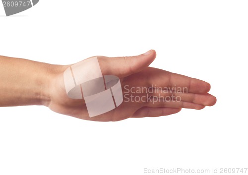 Image of Human hand with palm down  isolated