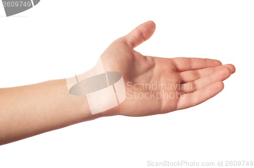 Image of One human hand isolated